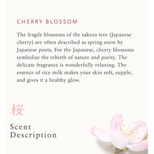 Load image into Gallery viewer, 【SG INSTOCK】2023 Seasonal Cherry Blossom Korea Certified Showerhead Filter / Vitamin Shower Filter Refill