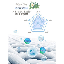 Load image into Gallery viewer, š„(SG Stock) White Tea Ag+ Japan Deodorizing Shoe Spray/Disinfectant/Foot Odor/ Deodorizer / Air Refresher - 360ml