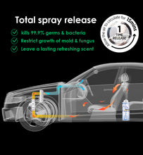 Load image into Gallery viewer, 【SG INSTOCK】Car Mold Odor Eliminator /Kills 99.9% germs/ One-Click-Release/ Green Tea Scent