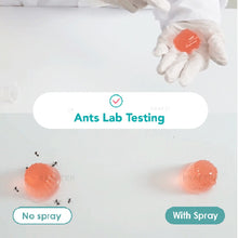 Load image into Gallery viewer, 😍 Natural Anti-Ant Spray 350ml l Ants Off- Repellent Spray l Instant Kill Highly Effective l Eliminate and Repel ants